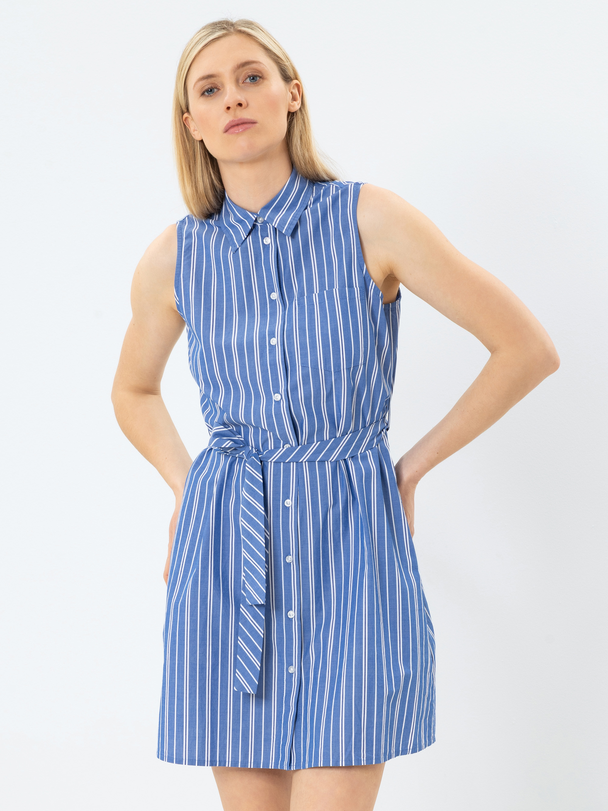Eine Frau steht vor einem schlichten Hintergrund und trägt ein ärmelloses, blau-weißes, vertikal gestreiftes Button-Down-Kleid mit einer passenden Krawatte.