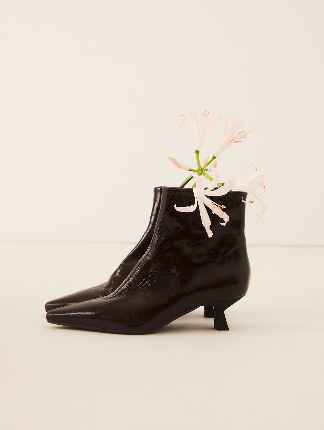 Ein Paar glänzender, dunkelbrauner Stiefeletten mit spitzen Zehen und kurzen Absätzen, nebeneinander gestellt. Im Inneren des einen Stiefels sind hellrosa Blüten angeordnet, die oben aus dem Schuh herausragen.
