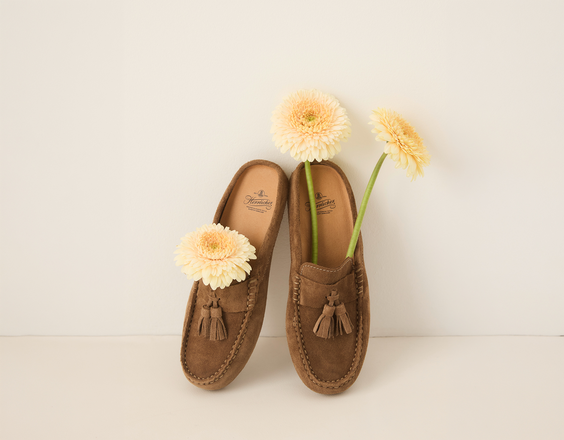 Zwei braune Wildlederschuhe mit Quasten stehen aufrecht vor einem hellen Hintergrund und halten jeweils ein hellgelbes Gerbera-Gänseblümchen, wobei die Blüten aus den Schuhen herauszuwachsen scheinen.