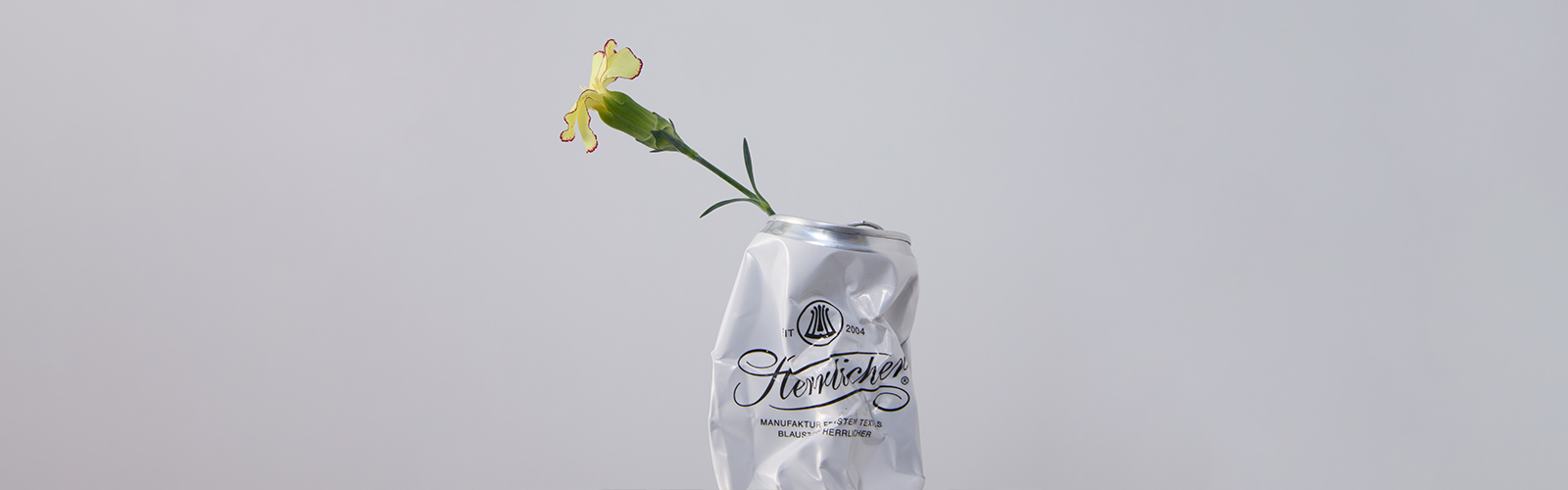 Eine zerknitterte Aluminiumdose mit kursiver Schrift steht aufrecht, aus deren Öffnung eine einzelne gelbe Blume mit gekräuselten Rändern vor einem schlichten hellen Hintergrund herausragt.
