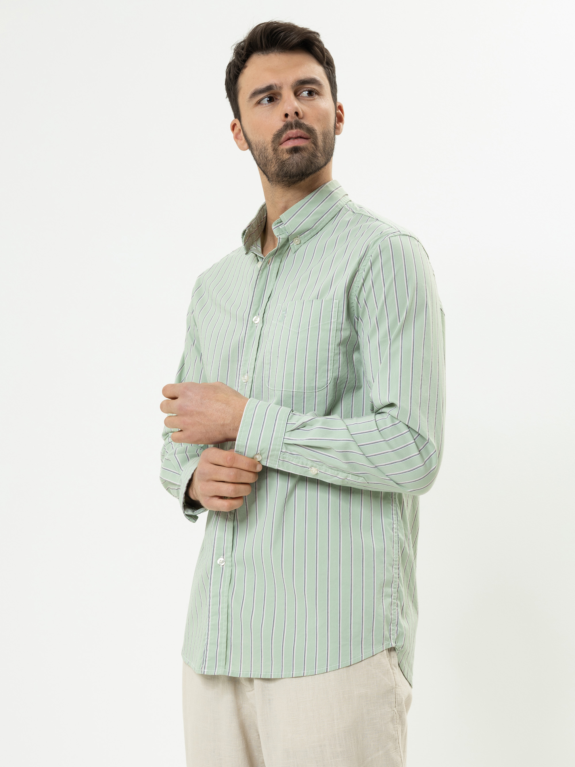 Ein Mann mit kurzen dunklen Haaren und einem Bart trägt ein hellgrünes, langärmeliges, hochgeknöpftes Hemd mit vertikalen Streifen. Er steht vor einem schlichten weißen Hintergrund und blickt leicht nach links.